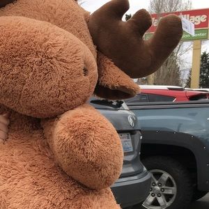 Meet your Posher, Adrian